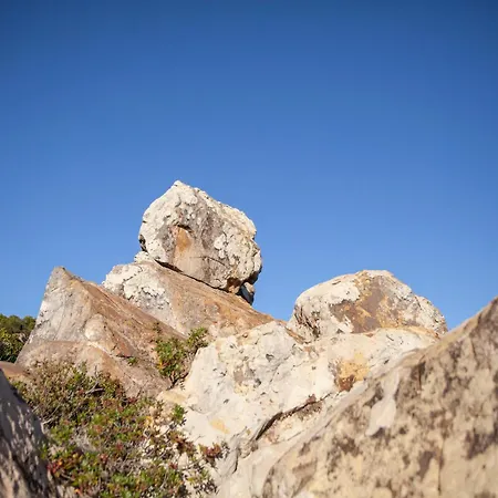 El Cañuelo